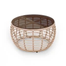 Стол ЛОТУС D780 Ирбис