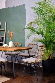 Обеденный стул плетеный CHARLOTTE  Joygarden