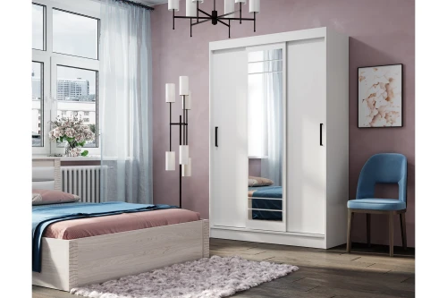 Шкаф-купе Тео ШКК-02, Белый