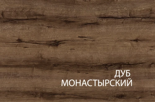 Шкаф 2DG2S, JAGGER, цвет Дуб монастырский /Черный