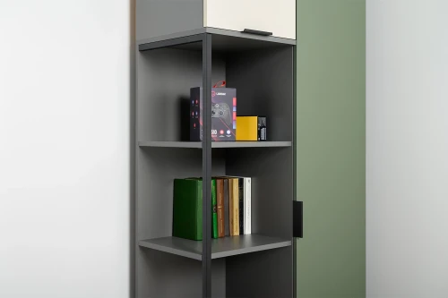 Шкаф комбинированный Марвэл 13.22, Темно-серый, Сатин, Плэйн, Зеленый