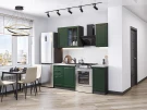 Кухонный гарнитур Дублин-04 Special Green Graphite Кухонный гарнитур Дублин-04 Special Green Graphite