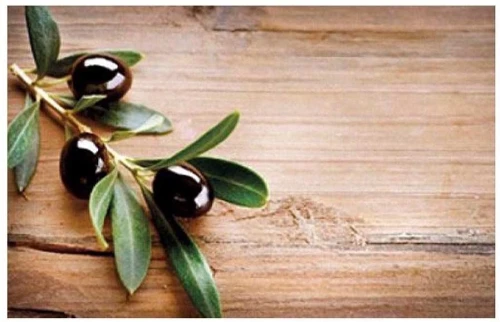 Симпл фотопечать стол обеденный раскладной / маслины/дуб молочный/белый