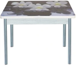 Симпл фотопечать стол обеденный раскладной / орхидея на черных камнях/бетон белый/металлик