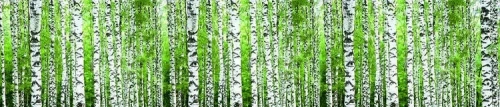 Кухонная панель FM 23