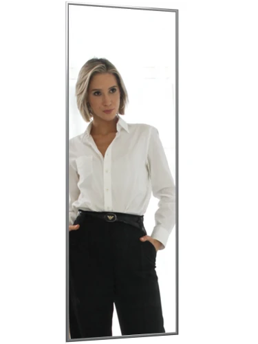 Зеркало настенное в раме Сельетта-5, глянец серебро 150 см х 50 см