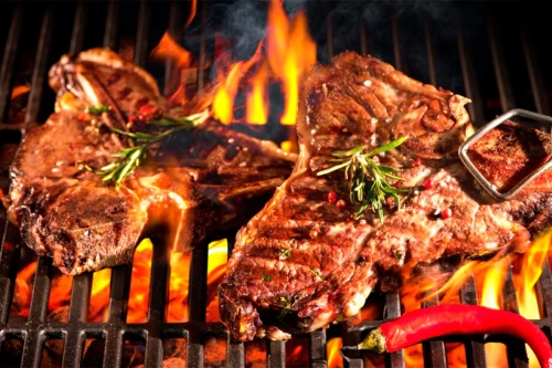 Газовый гриль Nexgrill Deluxe GRIZZLY 5B