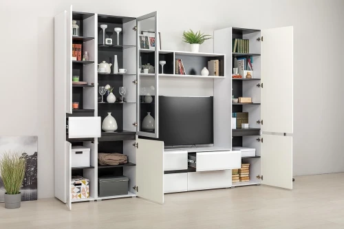 Сидней Шкаф 13.200 Белый премиум, Черный  0190 PE, белый глянец