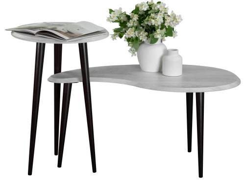 Стол журнальный BeautyStyle 2 дуб дымчатый/венге