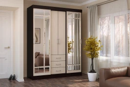 Шкаф-купе Маэстро, Дуб беленый, венге