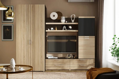 Шкаф Асти ШК-001 исп.№1, Дуб сонома, Венге