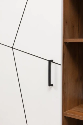 Шкаф для одежды Гамма 54.03 Таксония/Белый