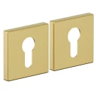Накладка для межкомнатной двери BRAVO AS-3CL SGold