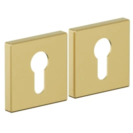 Накладка для межкомнатной двери BRAVO AS-3CL SGold