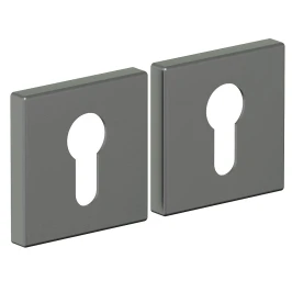 Накладка для межкомнатной двери BRAVO AS-3CL SGraphite