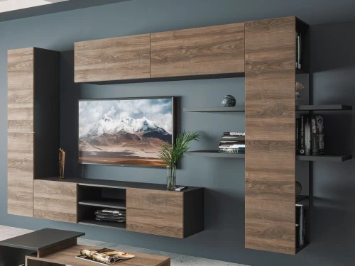 Стенка «Альда», черный/ Дуб велингтон