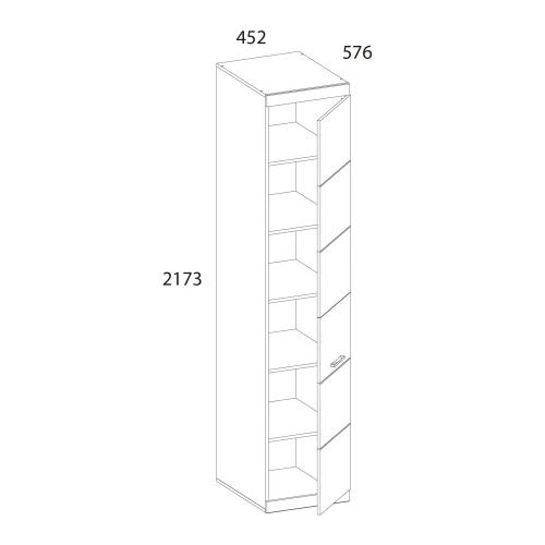 Шкаф 1DG OSKAR , цвет дуб Санремо