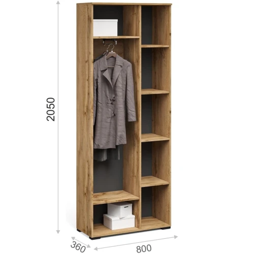 Шкаф «Лацио Сканди» 2д (с зеркалом), Вотан/Сканди графит