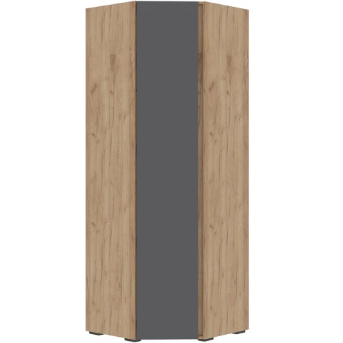 Шкаф «Хелен» ШК-04, графит/дуб крафт золотой