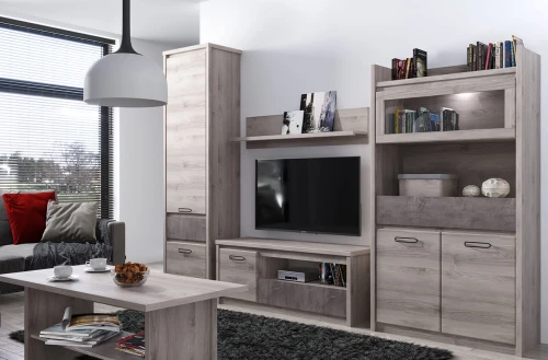 Шкаф 2D1S, JAZZ, цвет Каштан найроби/Оникс