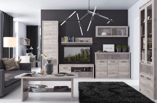 Шкаф 2D1S, JAZZ, цвет Каштан найроби/Оникс