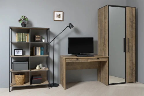 Шкаф с зеркалом Трувор 13.204.01, Дуб Гранж Песочный, Интра