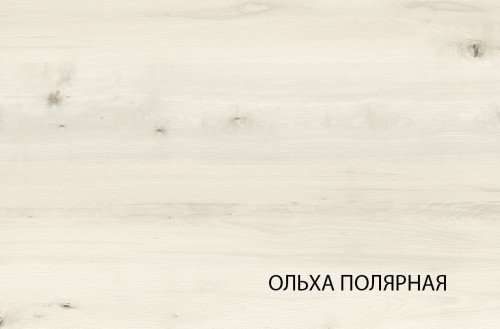 Шкаф 2D1S, BJORK, цвет ольха полярная/оникс