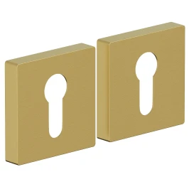 Накладка для замка BRAVO AS-6CL SGold
