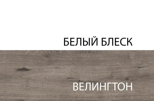 Шкаф 2DG, EVORA, цвет дуб веллингтон\белый