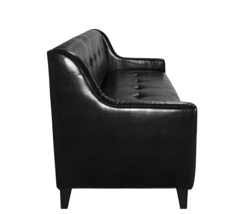 Диван Денди экокожа черная