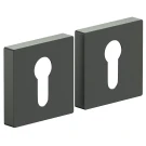 Накладка для замка BRAVO AS-6CL SGraphite