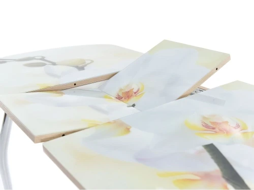 Стол «Ривьера» фотопечать Цветы-5, хром