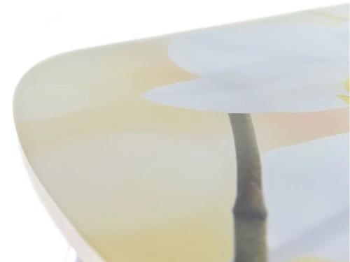 Стол «Ривьера» фотопечать Цветы-5, хром