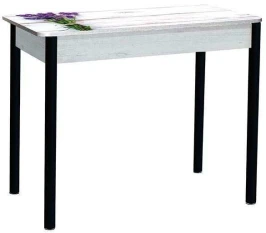 Нью йорк фотопечать стол обеденный раздвижной / букет/бетон белый/черный