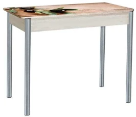 Нью йорк фотопечать стол обеденный раздвижной / маслины/дуб молочный/металлик