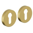 Накладка для замка BRAVO AR-7CL SGold