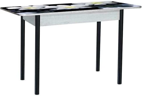 Нью йорк фотопечать стол обеденный раздвижной / орхидея на черных камнях/бетон белый/черный