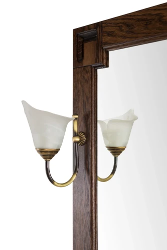 Зеркало Дубэлла 120, со светильником, венге