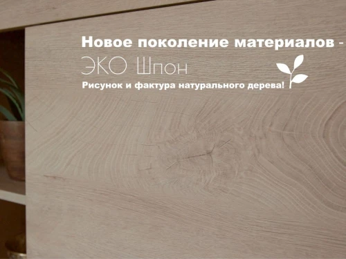 Комод «Мэдисон» 2д4ящ, Дуб эндгрейн/дуб экспрессив бронзовый