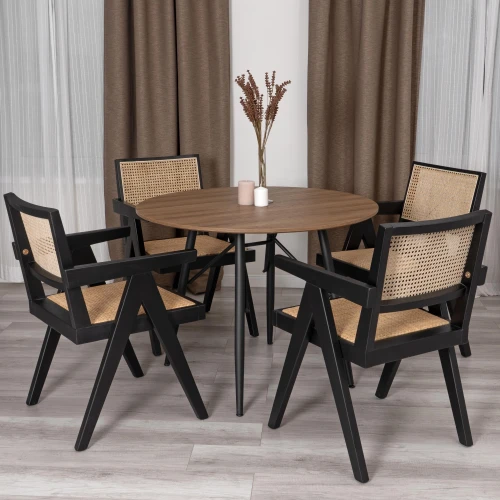 Кресло LOKI дерево вяз/ротанг, черный, 50х50х84 см (Комплект из 2 шт.)