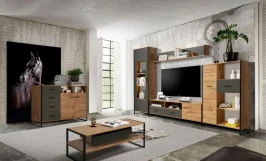 Гостиная Доната 3 Дуб Вотан/Диамант серый