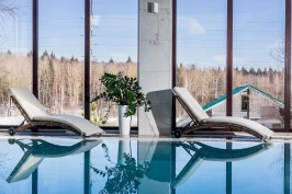 Шезлонги AGATA коричневые с матрасами