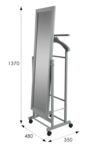 Вешалка костюмная с зеркалом на колесах В 24Н серый