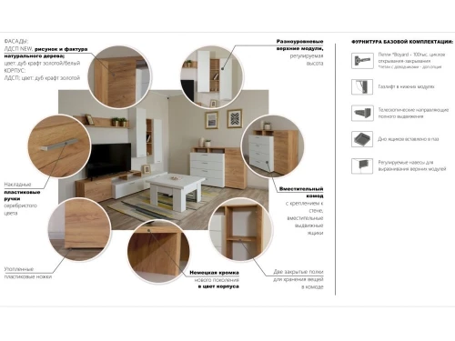 Стенка «Невио-1», Дуб крафт золотой/белый