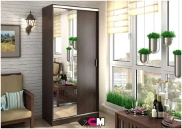 Шкаф-купе двухдверный Альянс 1.0