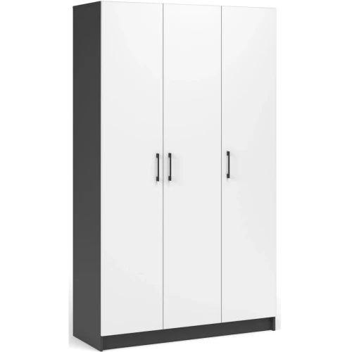 Шкаф «Чикаго» 3д Антрацит/Белый