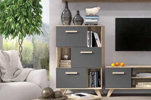 Шкаф низкий с нишами Вега Скандинавия синий