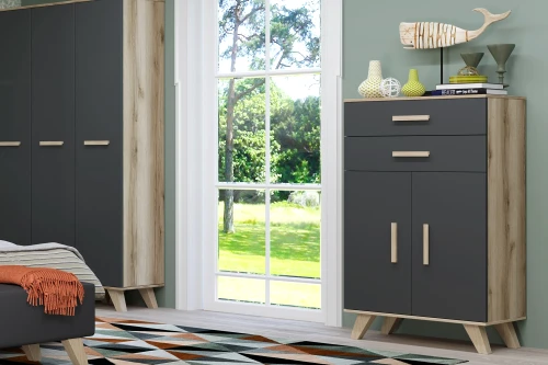 Шкаф низкий Вега Скандинавия лиственница темная