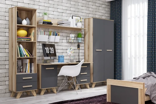 Шкаф-стеллаж 450 Вега Скандинавия Силк флай